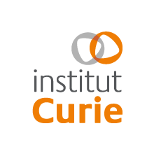 Institut Curie